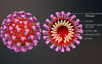 L'OMS lance l'étude SOLIDARITY, un méga essai mondial sur les 4 traitements contre les coronavirus les plus prometteurs