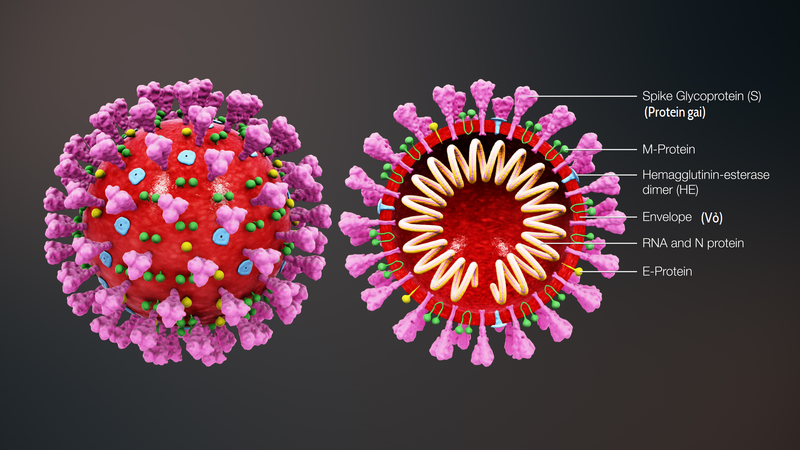 L'OMS lance l'étude SOLIDARITY, un méga essai mondial sur les 4 traitements contre les coronavirus les plus prometteurs
